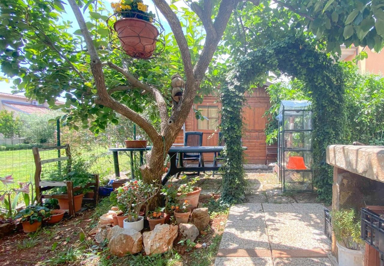 Giuli Apartment Novigrad Istria Exterior foto